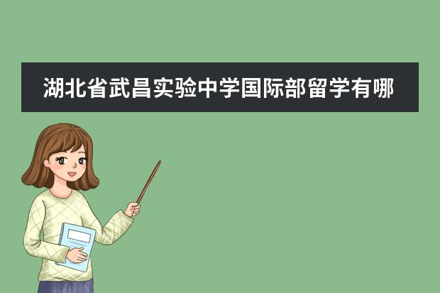 湖北省武昌实验中学国际部留学有哪些国家
