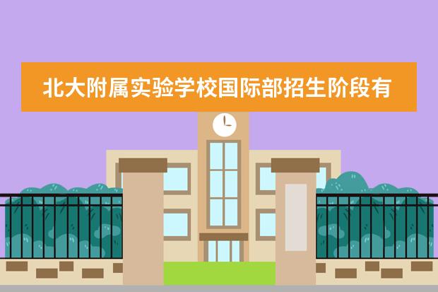 北大附属实验学校国际部招生阶段有哪些(课程体系)