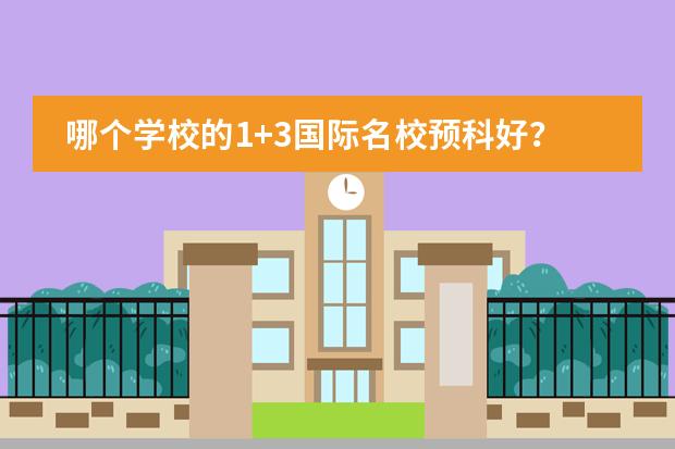 哪个学校的1+3国际名校预科好？