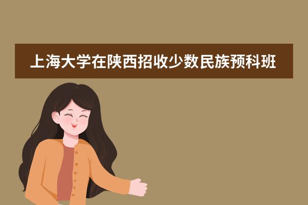 上海大学在陕西招收少数民族预科班是如何分专业的
