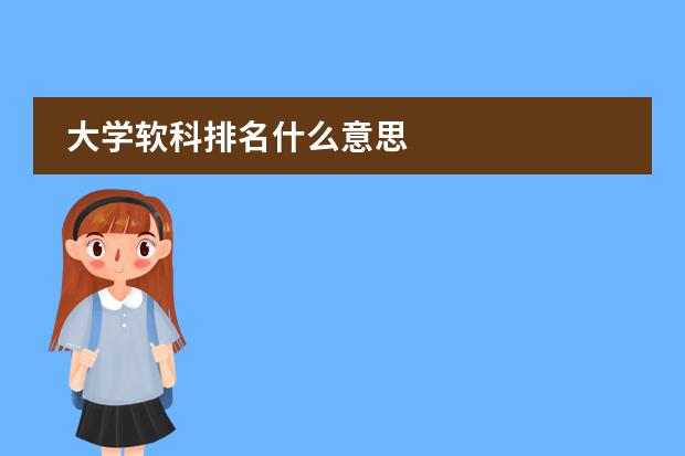 大学软科排名什么意思
